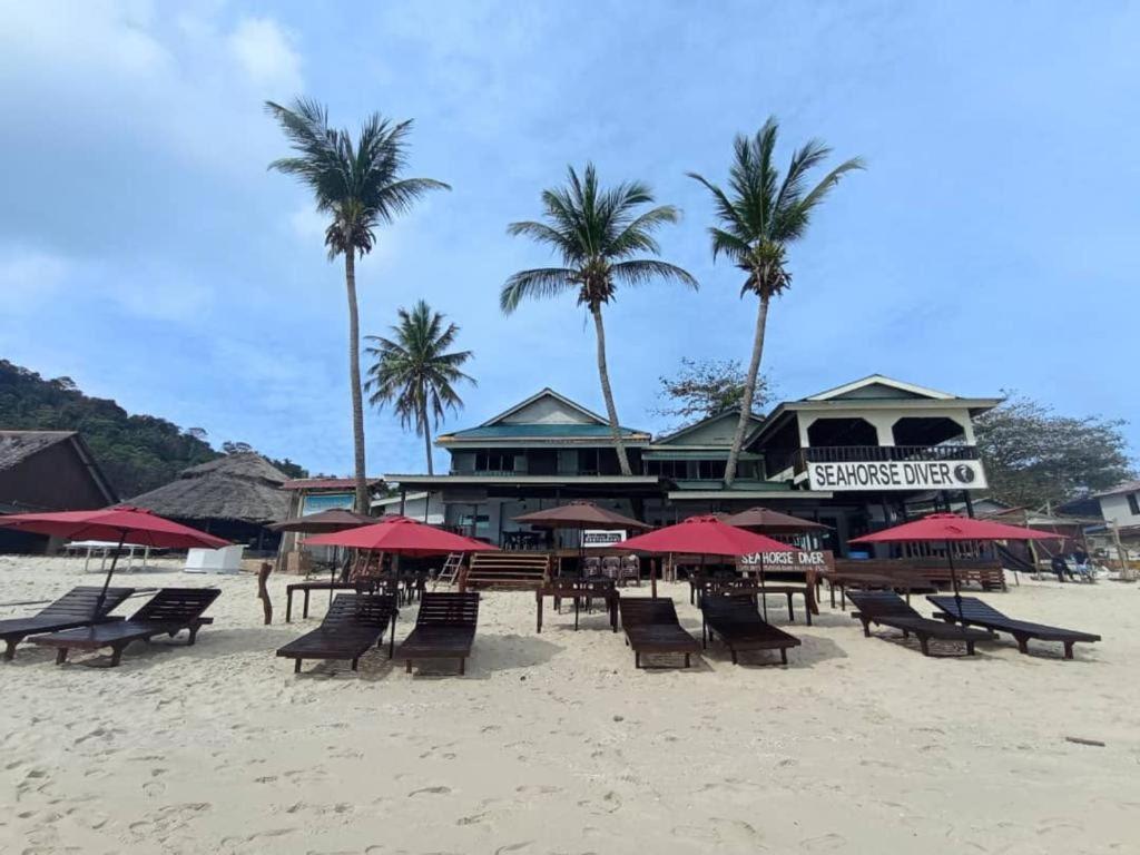 Seahorse Diver Guesthouse Kampong Pasir Panjang  Eksteriør bilde